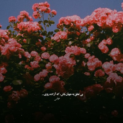 مهیار تو گناهم باشی میدم با جونم تاوانشو